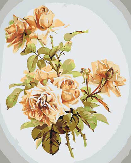 Paint by Numbers - Vintage Flowers IV