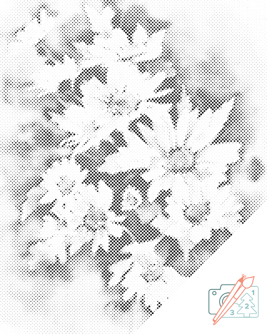 Mal-med-prikker -  Efterårsblomst, hvid aster