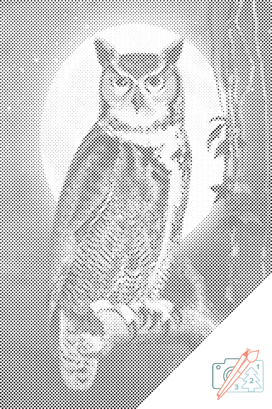 Mal-med-prikker -  Wise Owl