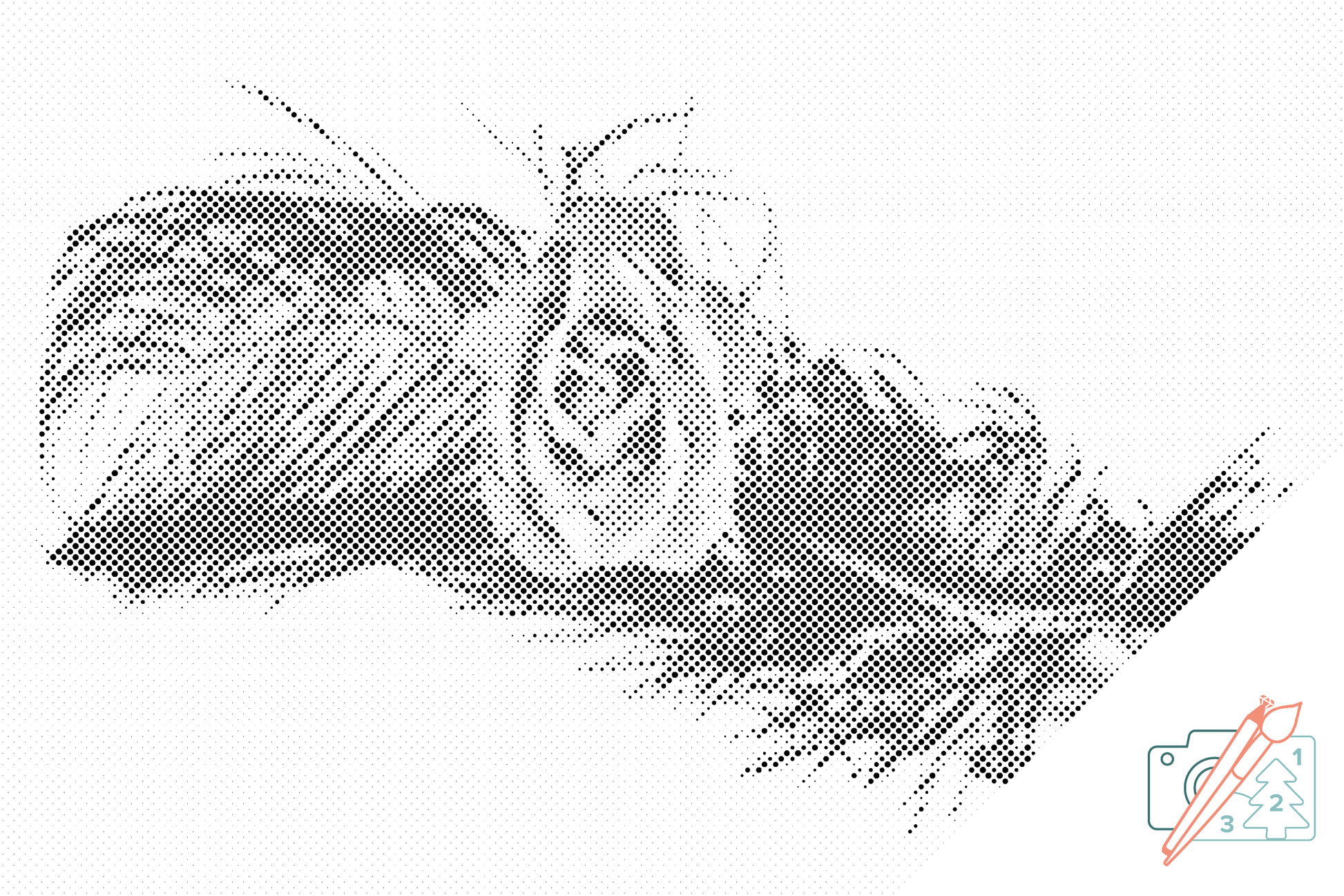 Mal-med-prikker -  Rose i en fjer