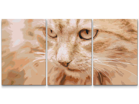 Paint by Numbers - Jagtkat (sæt af 3)
