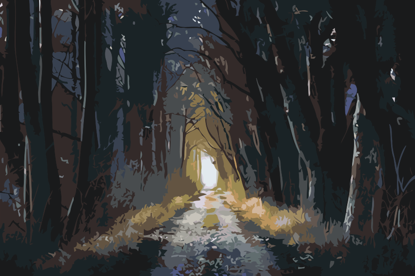 Paint by Numbers - Mørk Skov