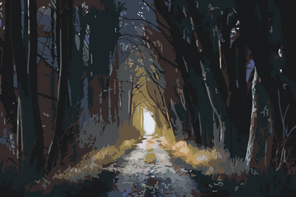 Paint by Numbers - Mørk Skov