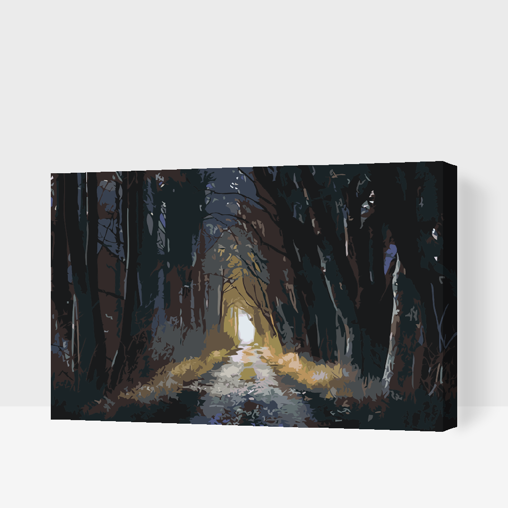 Paint by Numbers - Mørk Skov