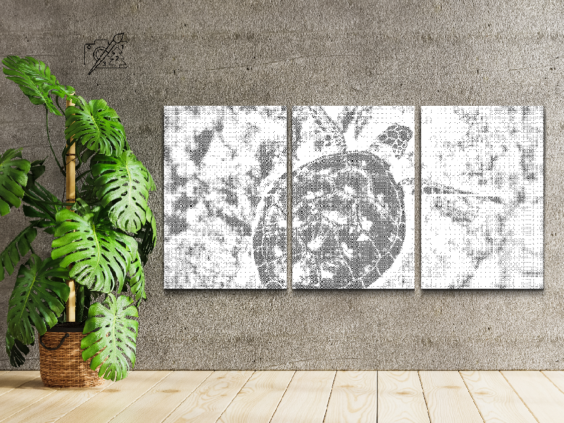 Havskildpadde (sæt af 3)