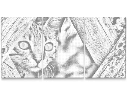 Mal-med-prikker -  Watchful Kitten (sæt af 3)