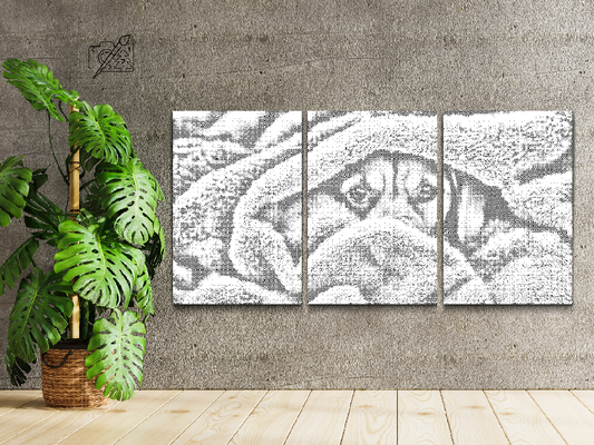 Hvalpeøjne (sæt af 3)