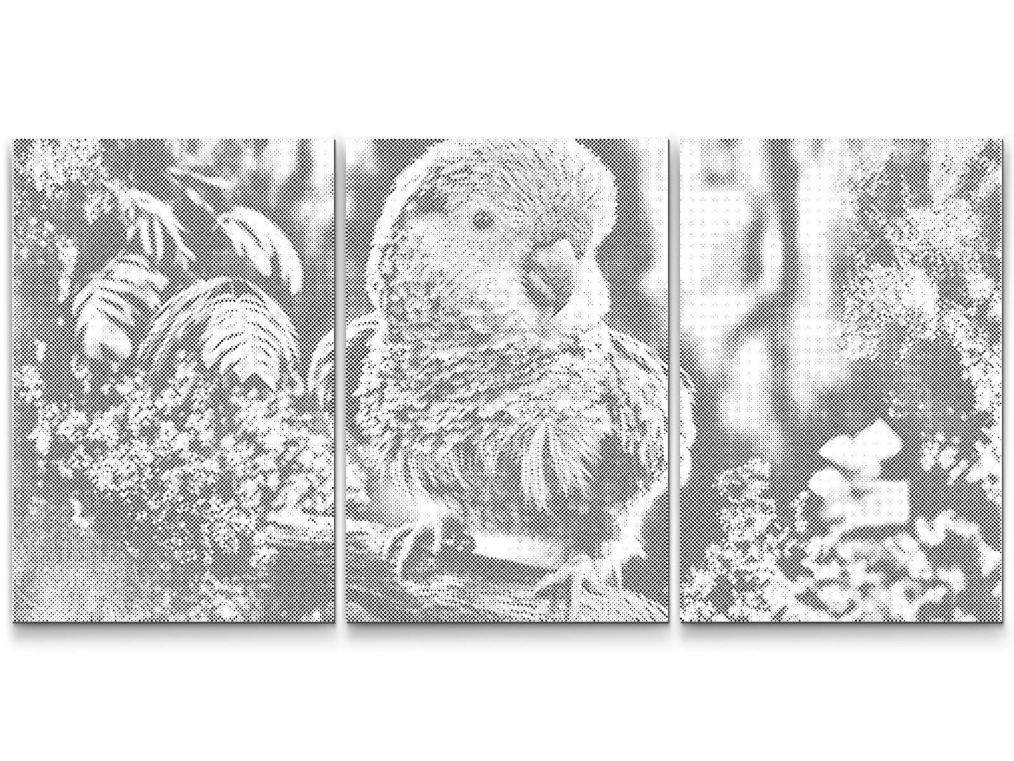 Mal-med-prikker -  Parrot (sæt af 3)