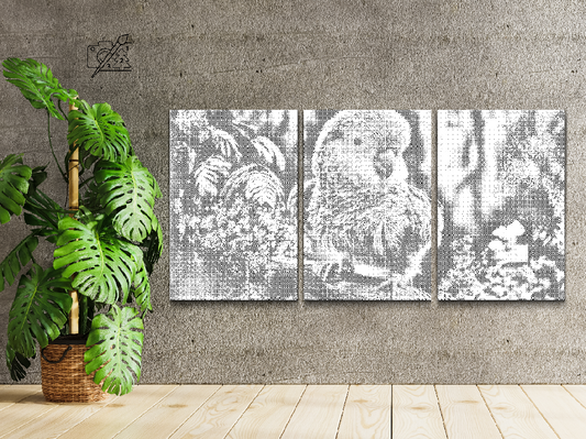 Papegøje (sæt af 3)