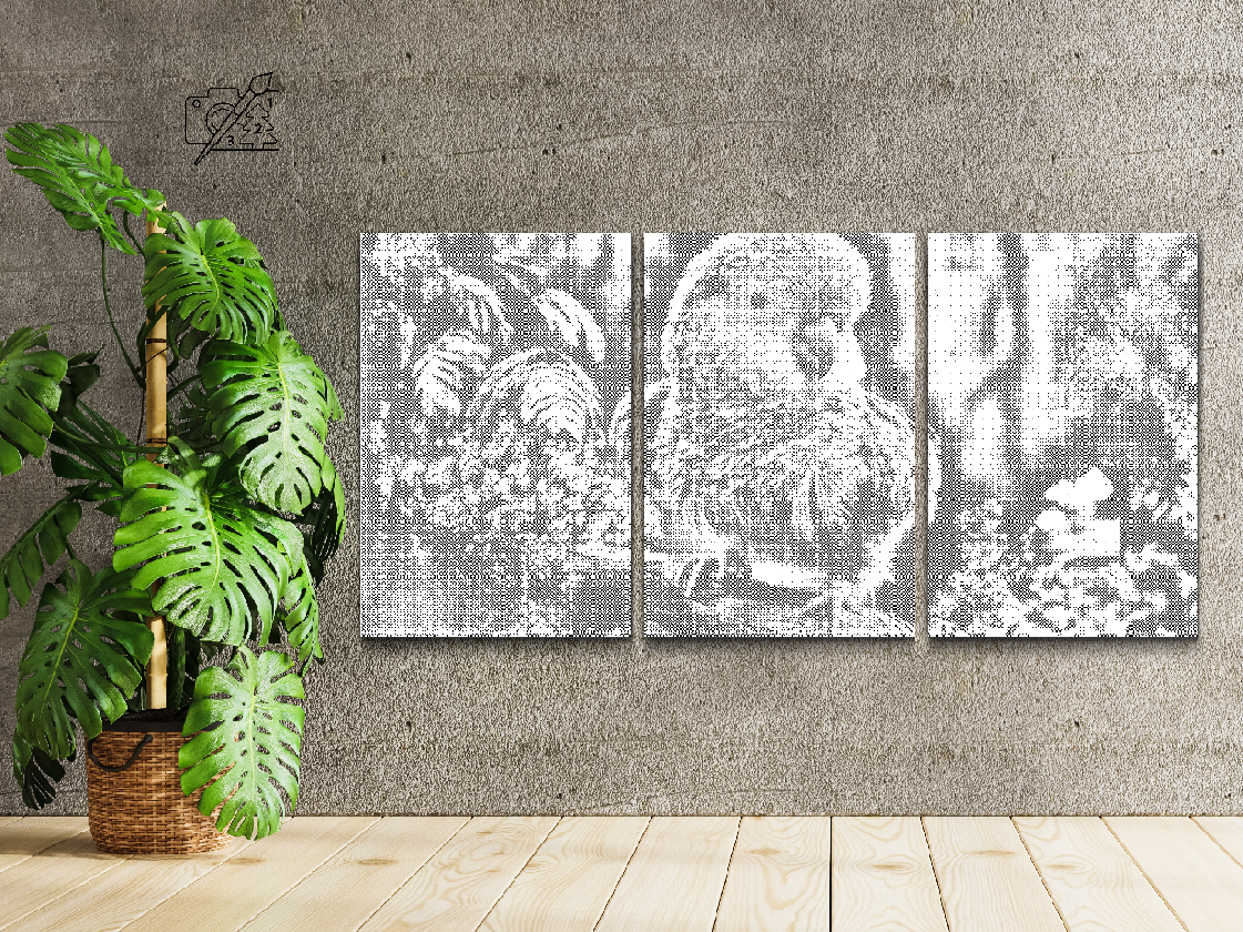 Papegøje (sæt af 3)