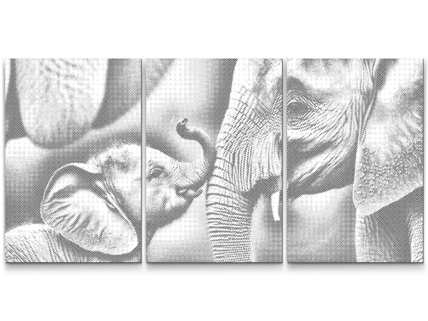 Mal-med-prikker -  Elephant Family (sæt af 3)