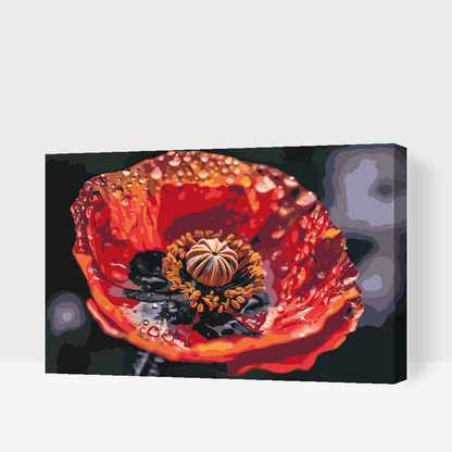 Paint by Numbers - Valmueblomst