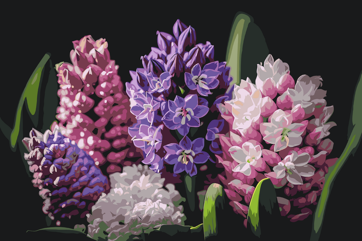 Paint by Numbers - Hyacinter