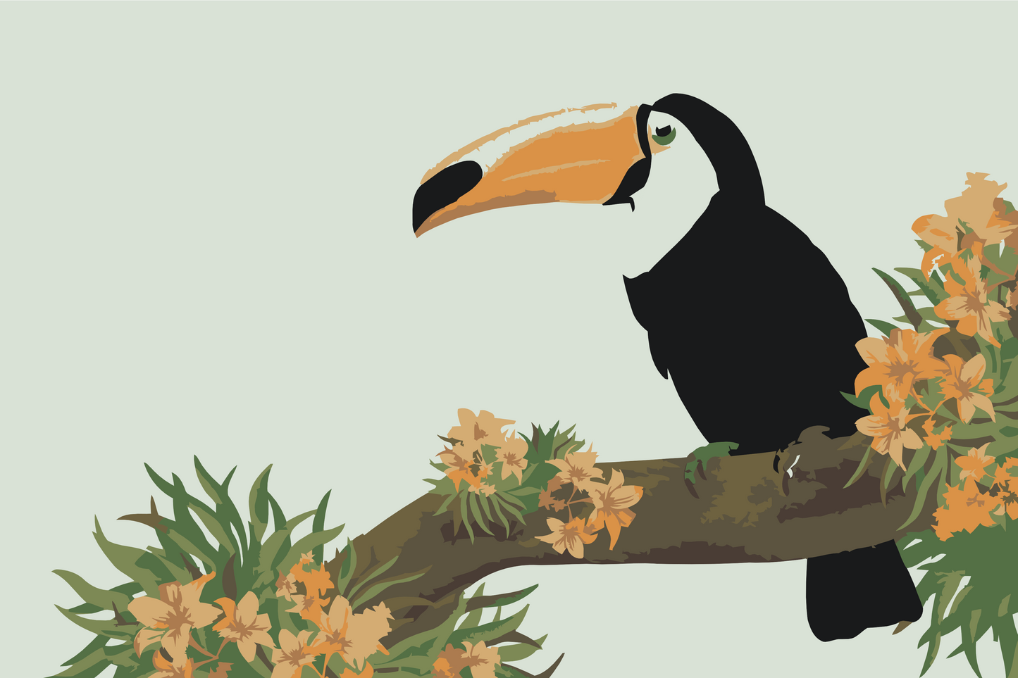Paint by Numbers - Tucan på en trægren