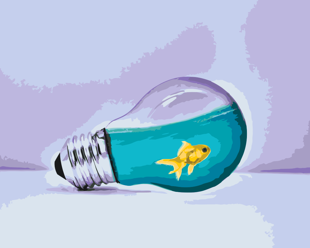 Paint by Numbers - Gold Fish