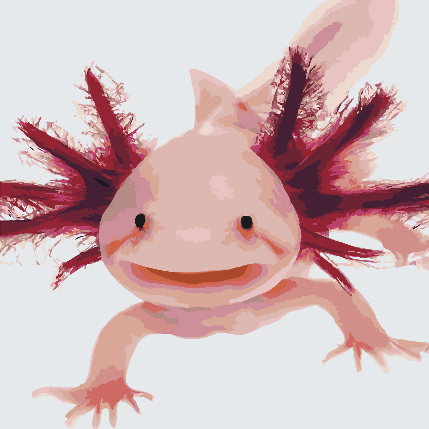 Paint by Numbers - Axolotl 3