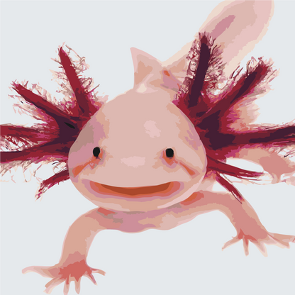 Paint by Numbers - Axolotl 3
