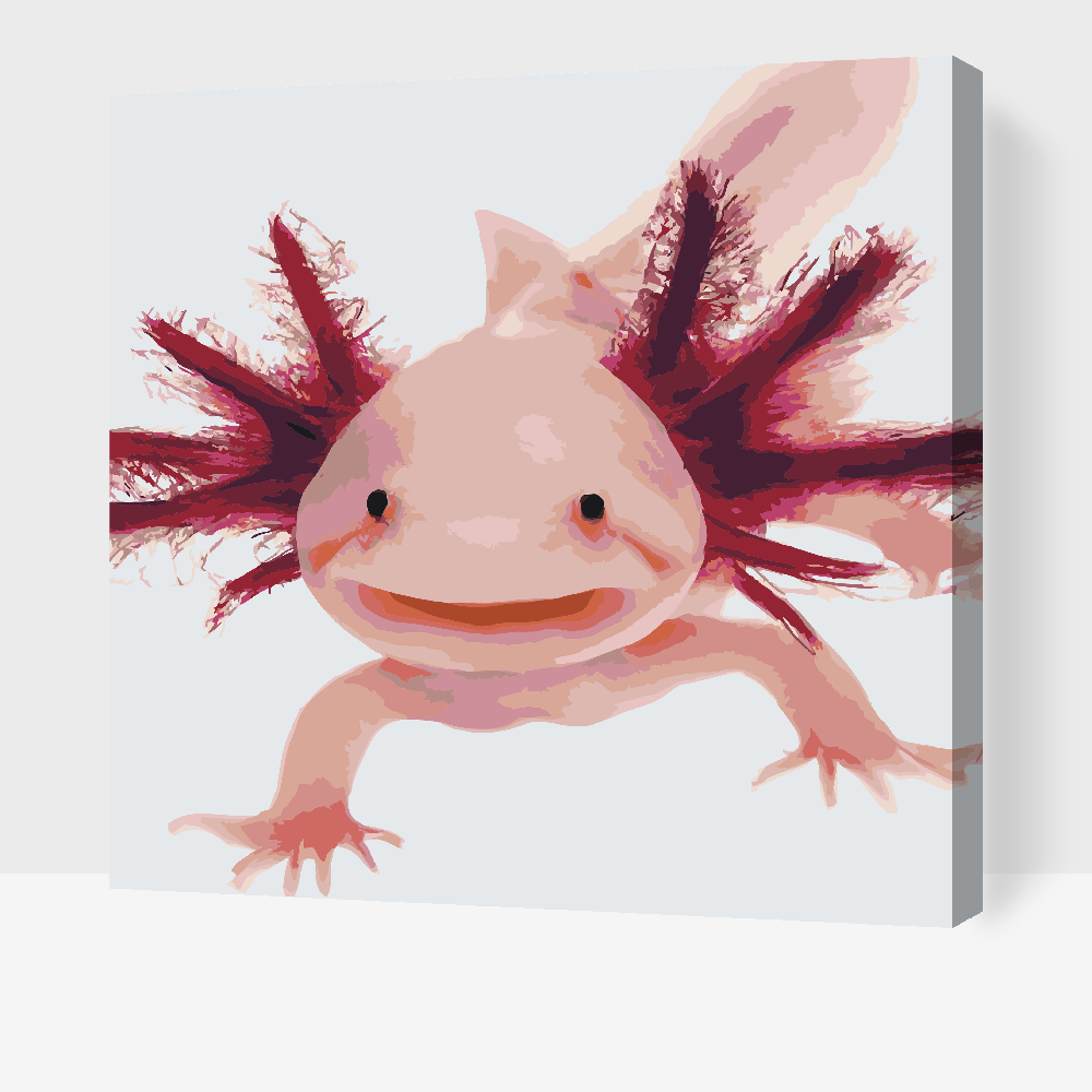 Paint by Numbers - Axolotl 3