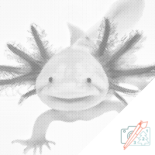 Mal-med-prikker -  Axolotl 3