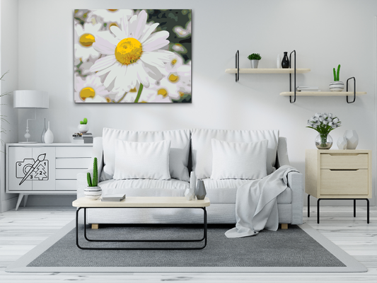 Paint by Numbers - Margueritter