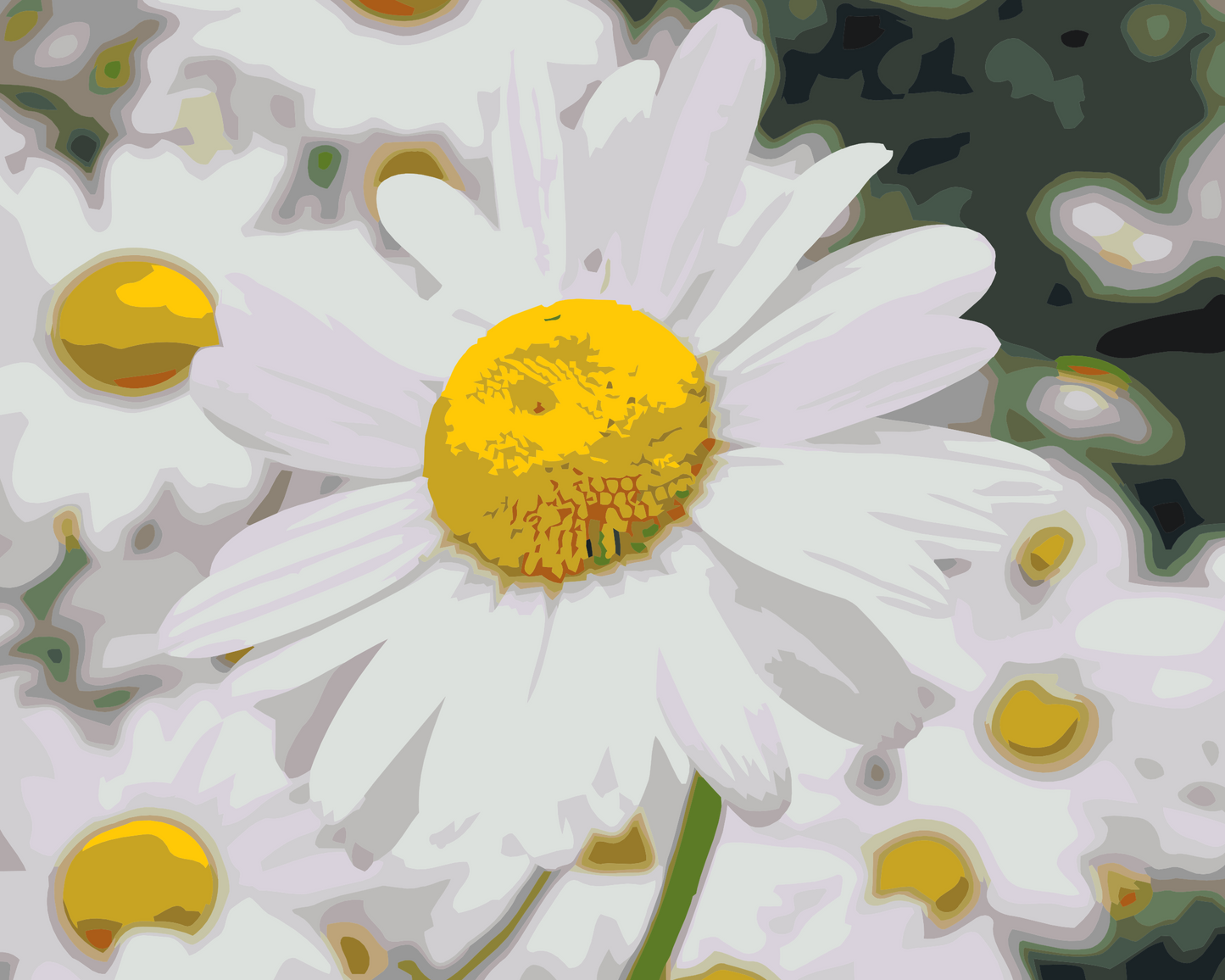 Paint by Numbers - Margueritter