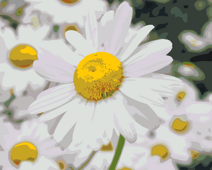 Paint by Numbers - Margueritter