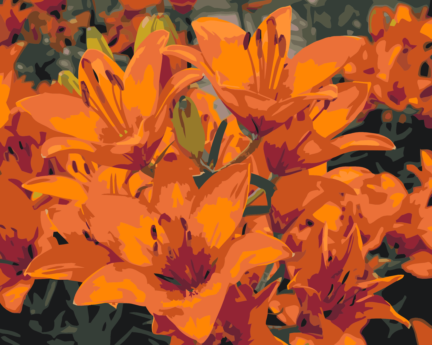 Paint by Numbers - Orange liljer