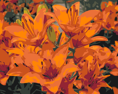 Paint by Numbers - Orange liljer