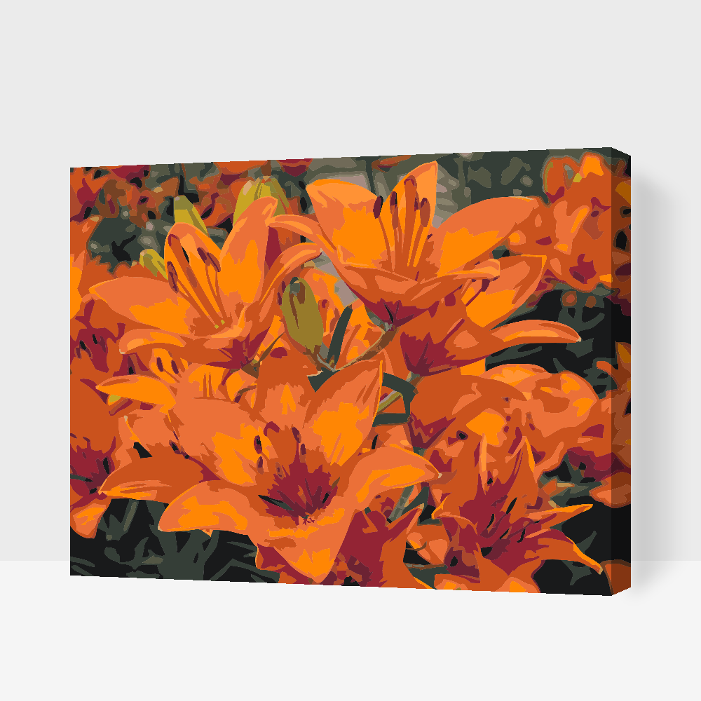 Paint by Numbers - Orange liljer
