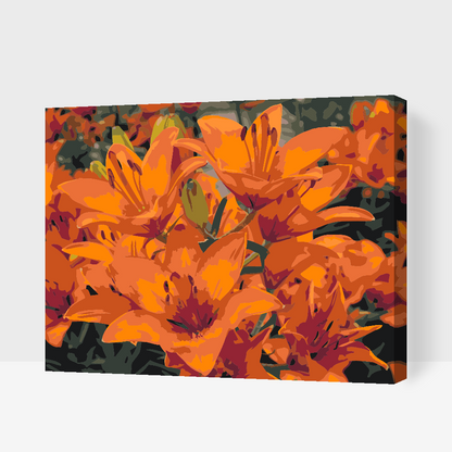 Paint by Numbers - Orange liljer