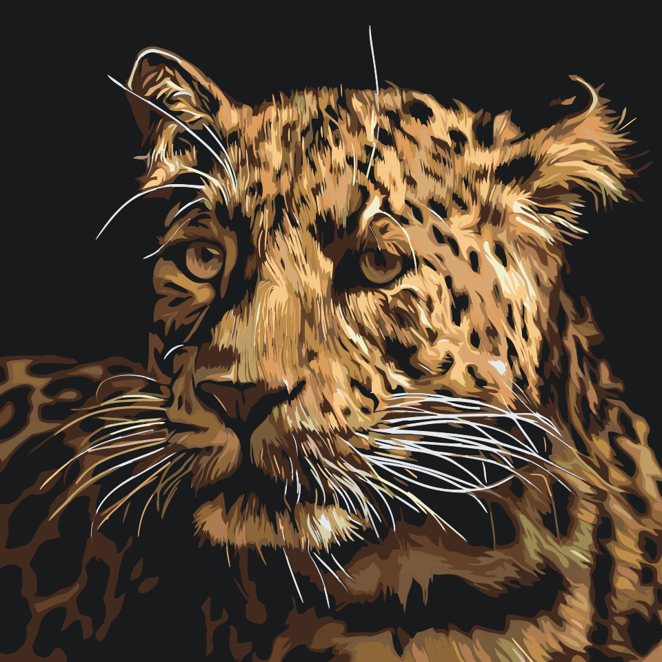 Paint by Numbers - Jaguar