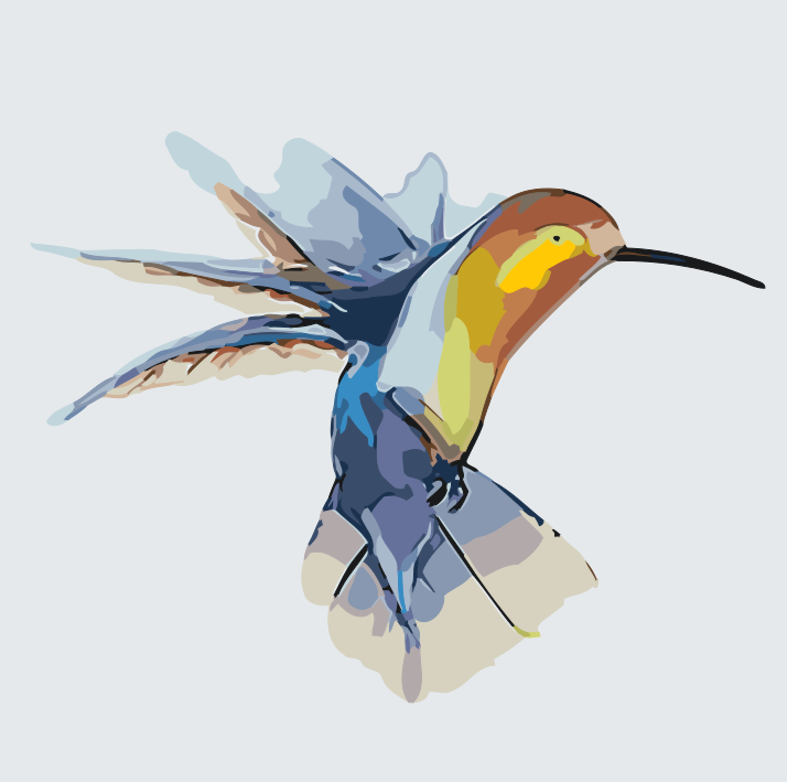 Paint by Numbers - Kolibri