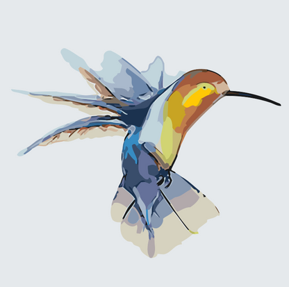 Paint by Numbers - Kolibri