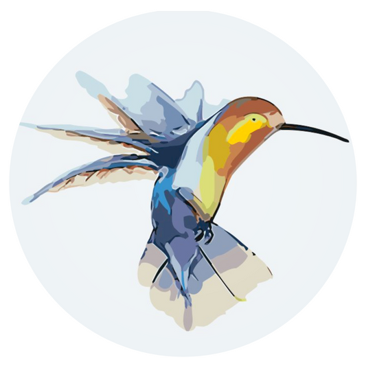 Paint by Numbers - Kolibri
