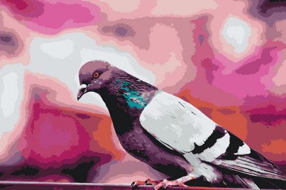Paint by Numbers - En due