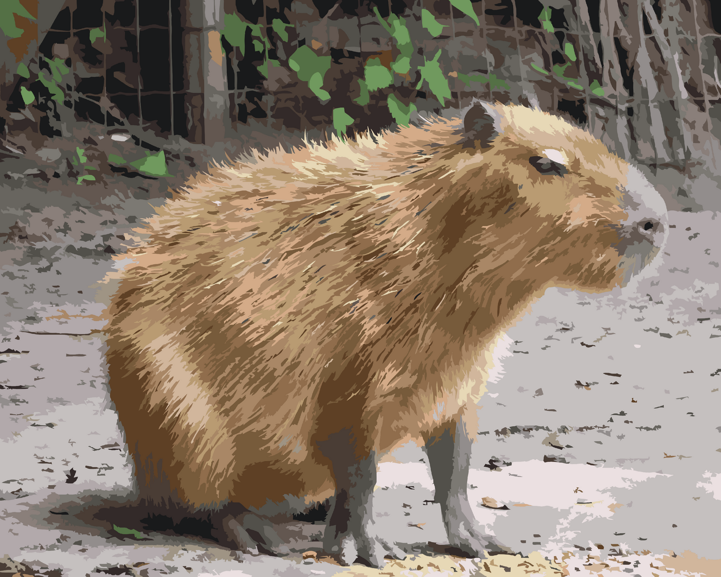 Paint by Numbers - Capybara