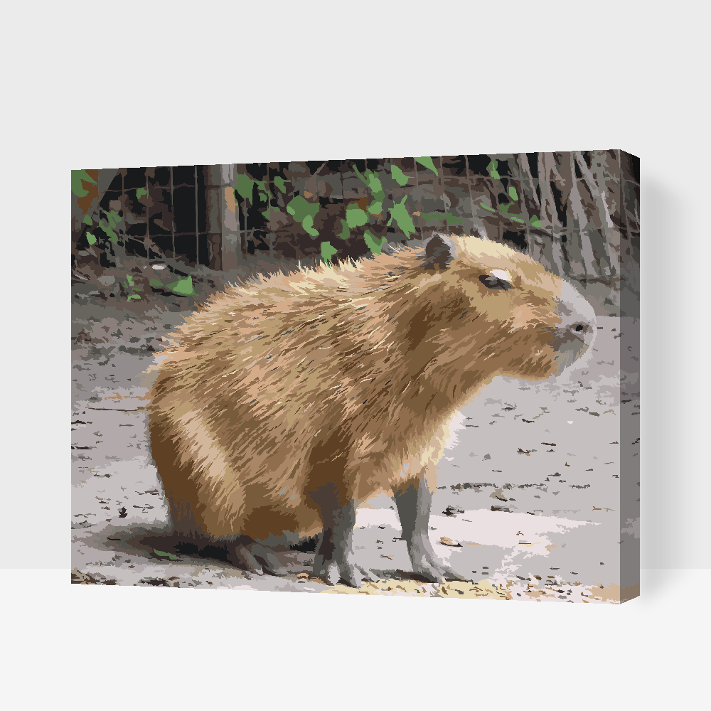 Paint by Numbers - Capybara