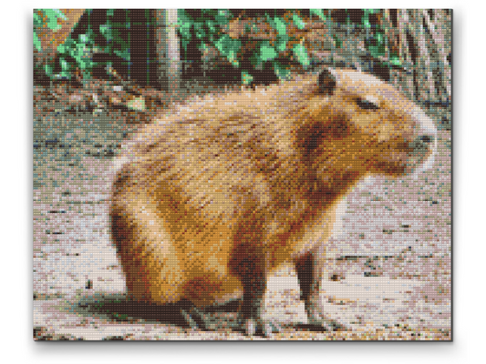 Diamond Painting - Capybara
