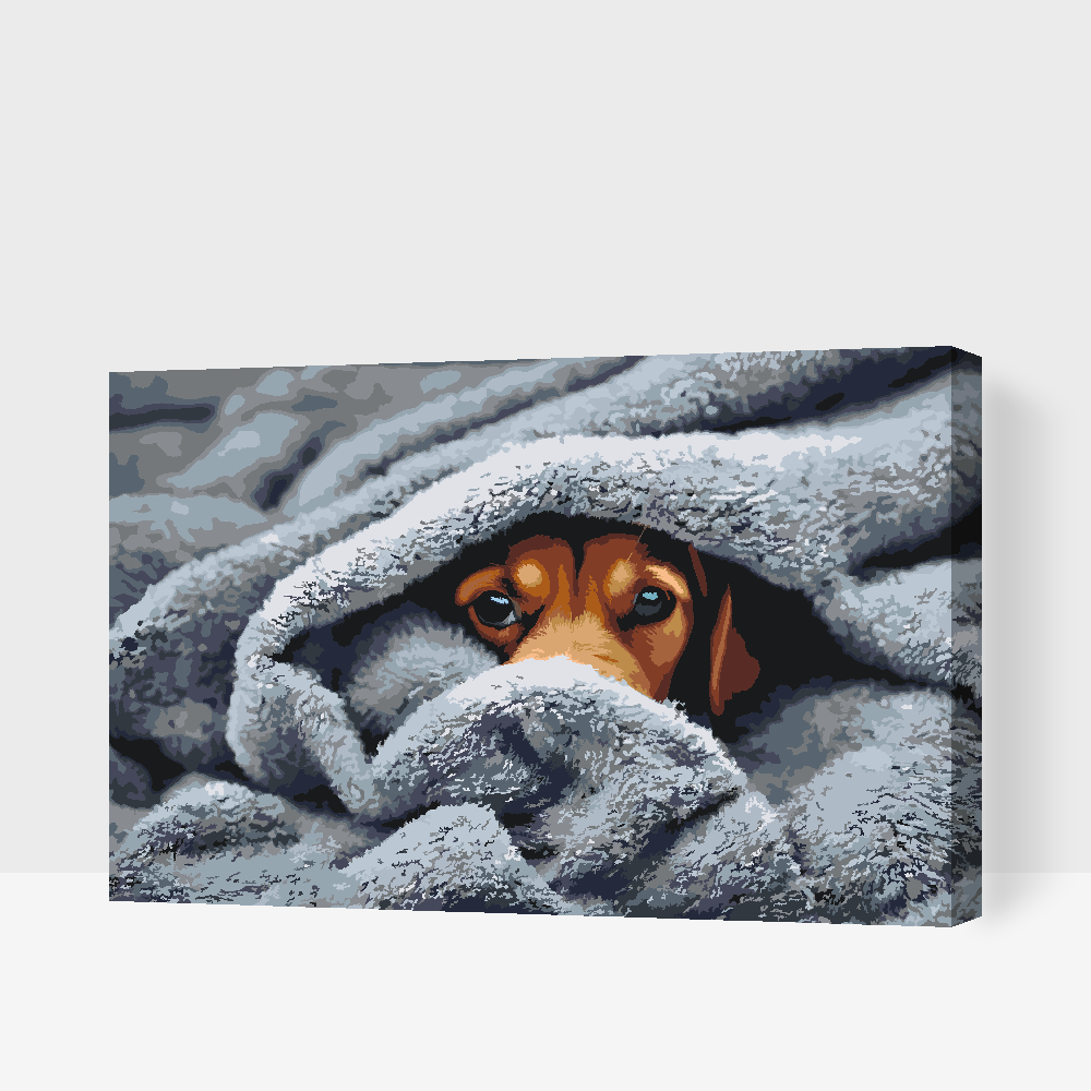Paint by Numbers - Hundeøjne under tæppet 2
