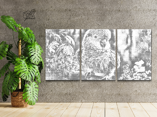 Papegøje i Regnskoven (sæt af 3)