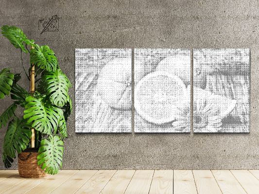 Citrusfrugter, Appelsin (sæt af 3)