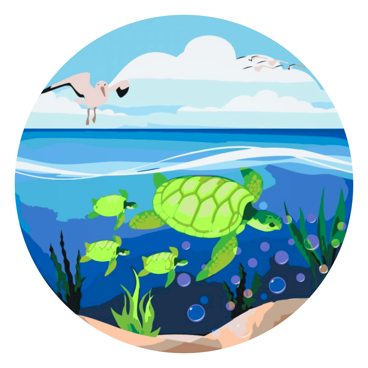Paint by Numbers - Skildpadder i havet