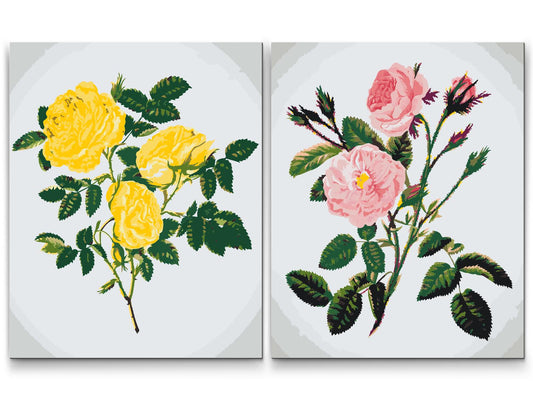 Paint by Numbers - Vilde roser (sæt af 2)
