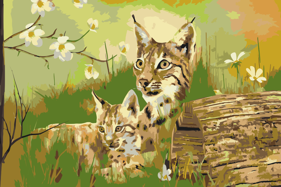 Paint by Numbers - Vilde katte i naturen