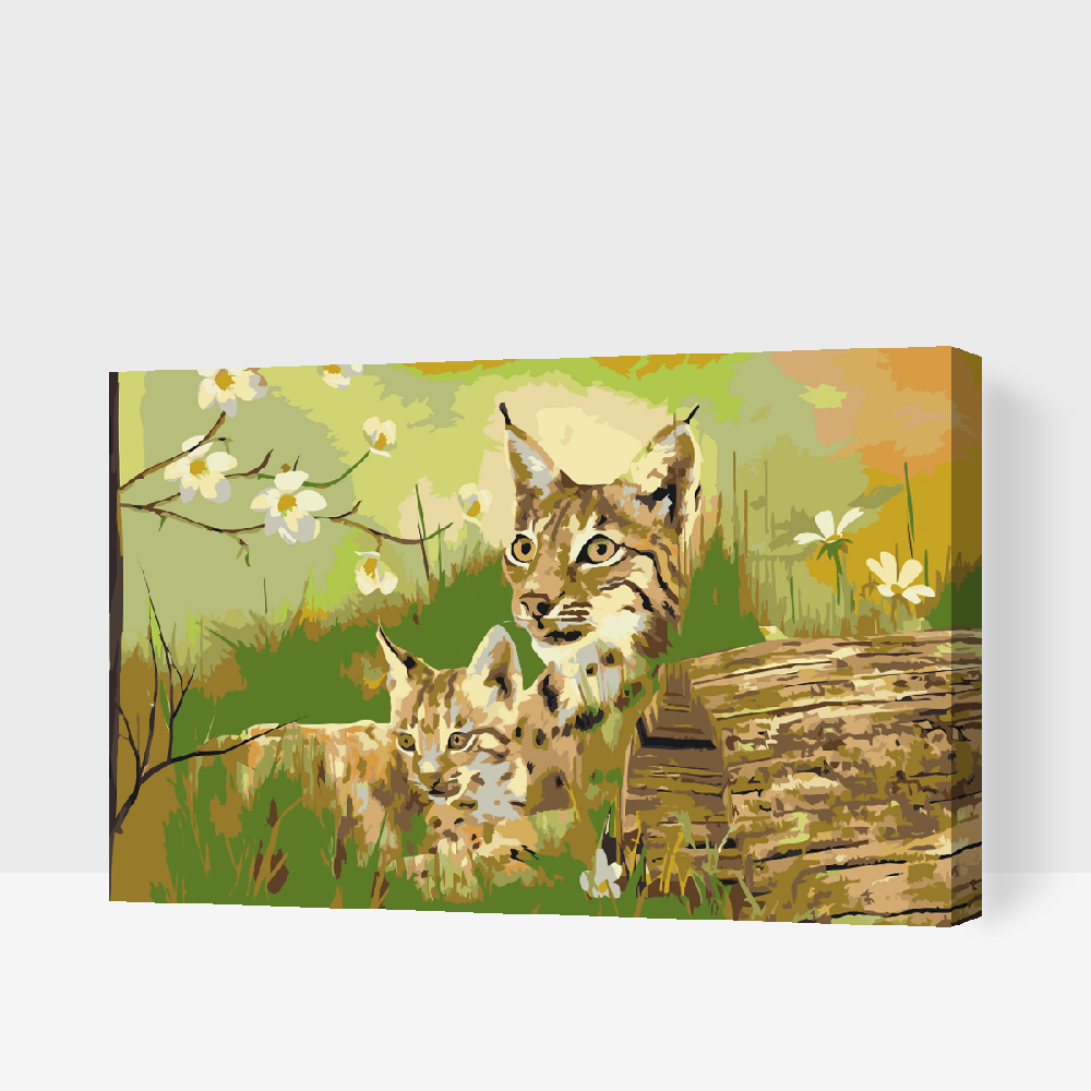 Paint by Numbers - Vilde katte i naturen
