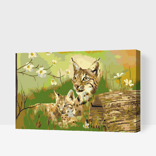 Paint by Numbers - Vilde katte i naturen