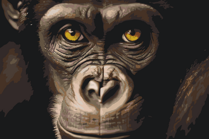Paint by Numbers - Chimpanse tæt på