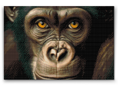 Diamond Painting - Chimpanse tæt på