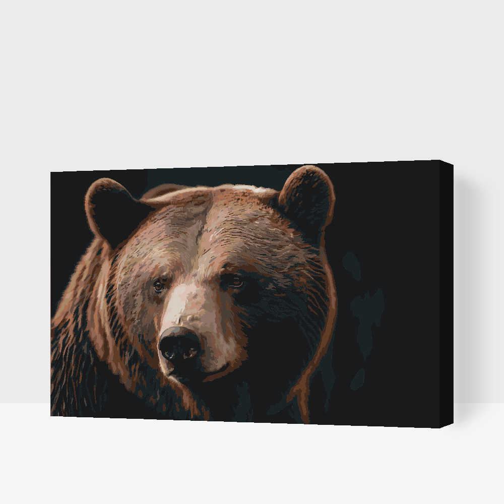 Paint by Numbers - Grizzlybjørn