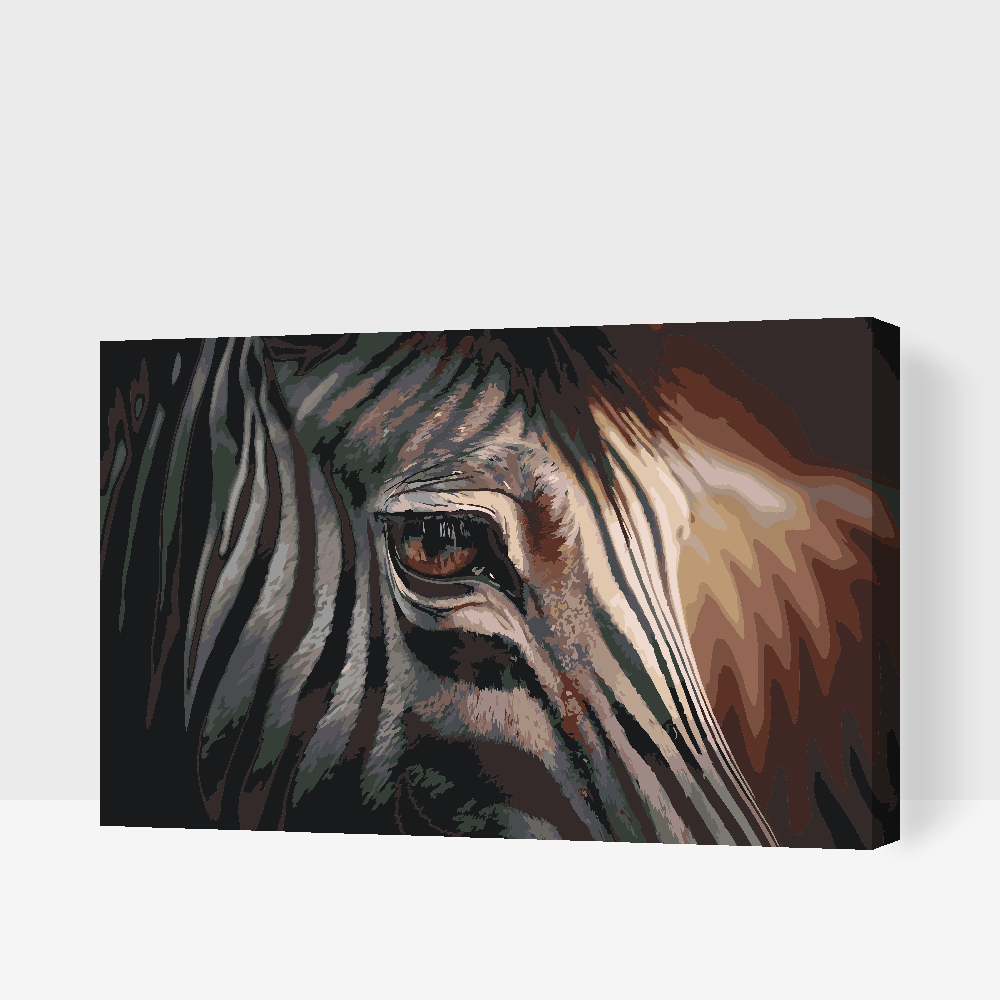 Paint by Numbers - Zebra tæt på